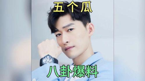 娱乐圈八卦吃瓜博主小说